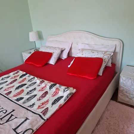 Soba Marinko 3* 里耶卡